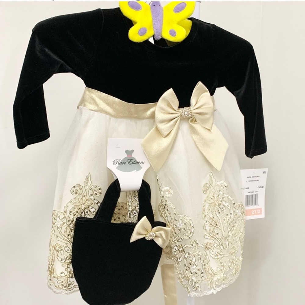 Rare Editions Fornal Holiday Dress & Velvet Bag Set - 24 Months - NEW
